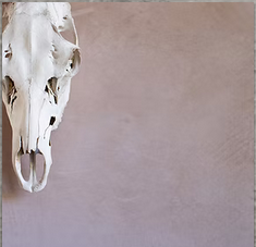 Business plaster example 9